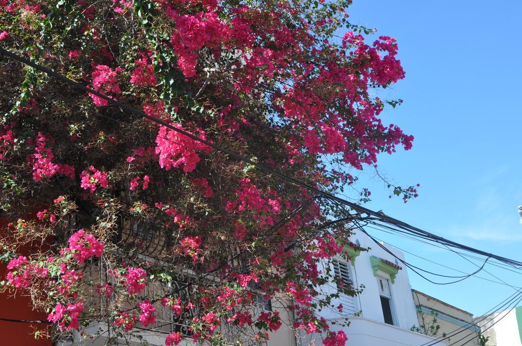 Dona Elvira Boutique Hotel Santo Domingo Værelse billede